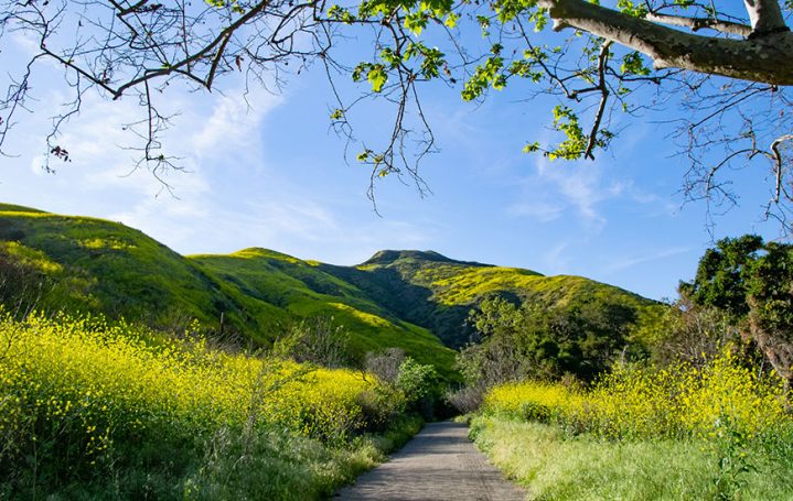 RESOURCES California Missions - On The Trail 870x550 1 719x455 