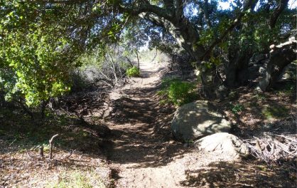 Old Mission Trail