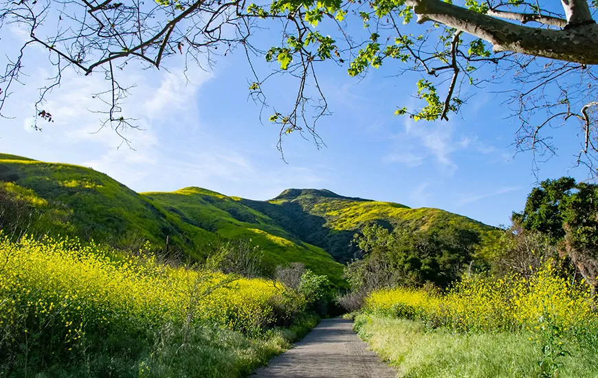 walking to the mission