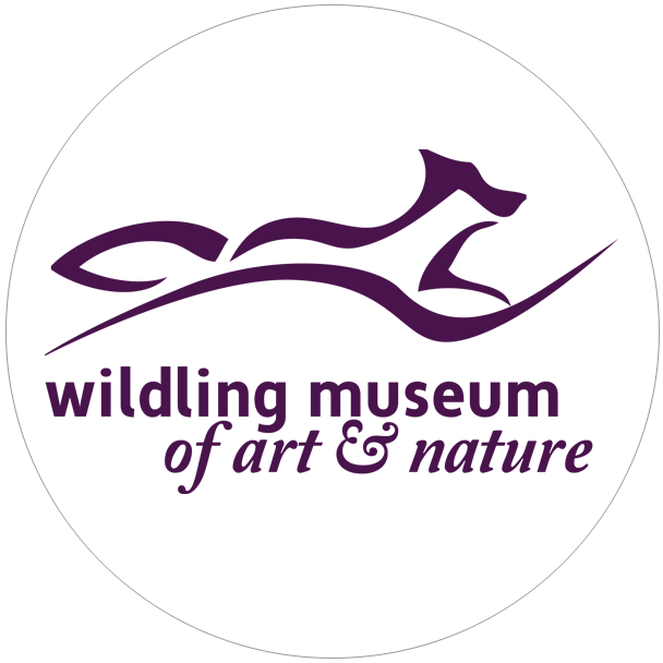 museum of art and nature