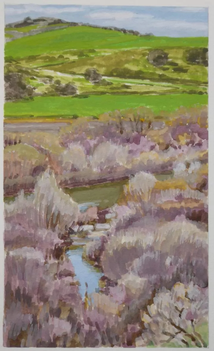 451974-santa_rosa_road