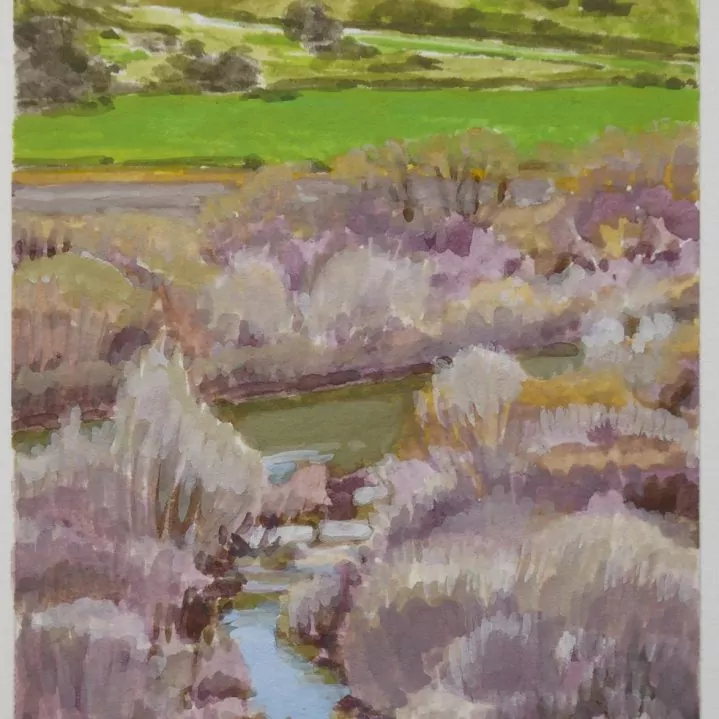 451974-santa_rosa_road