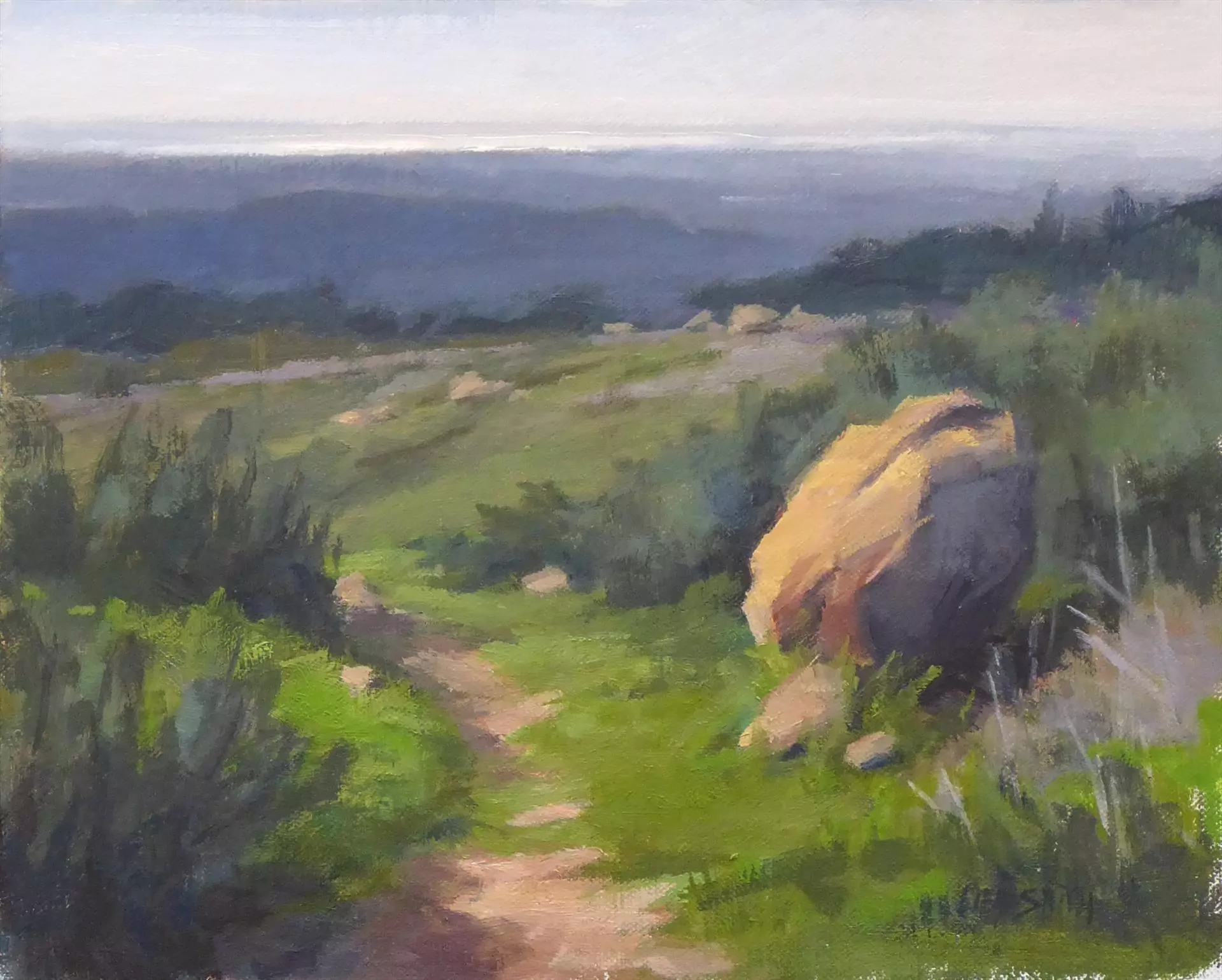 453312-view_from_the_foothills