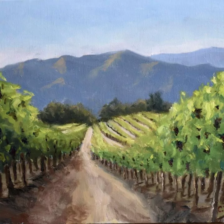 453596-central_coast_vineyard
