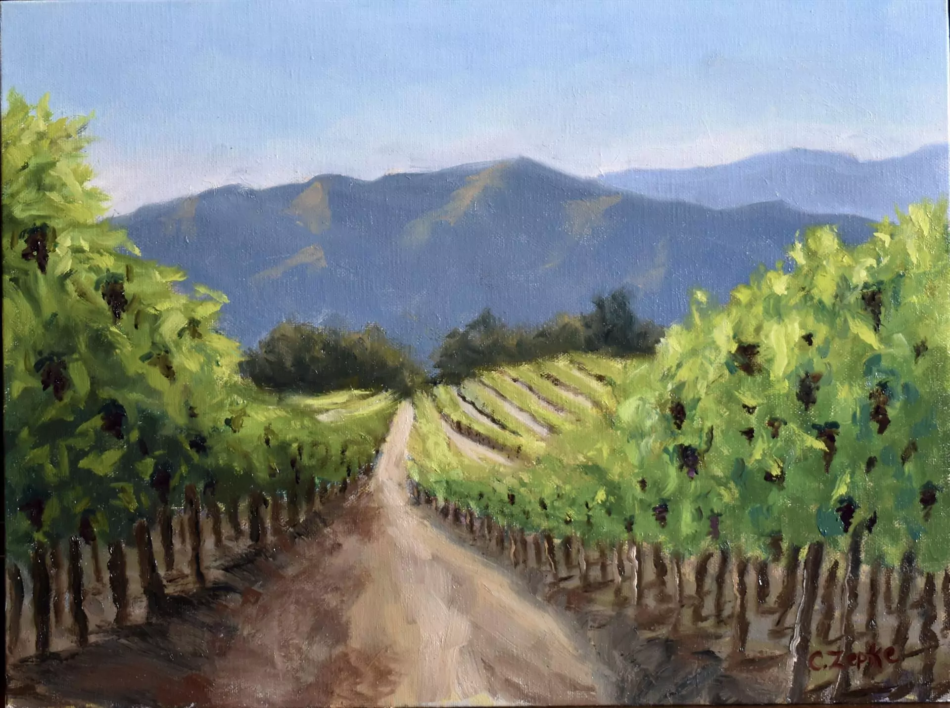 453596-central_coast_vineyard