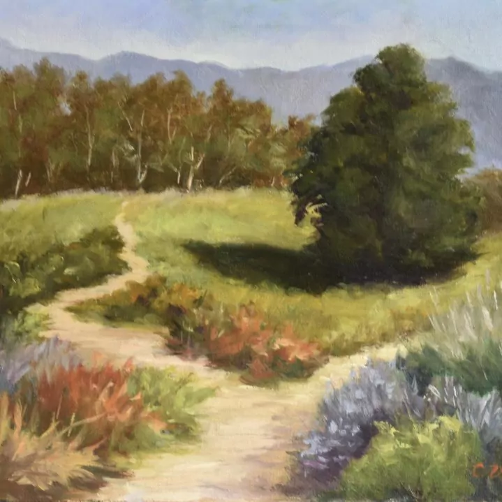453597-a_path_to_lake_los_carneros