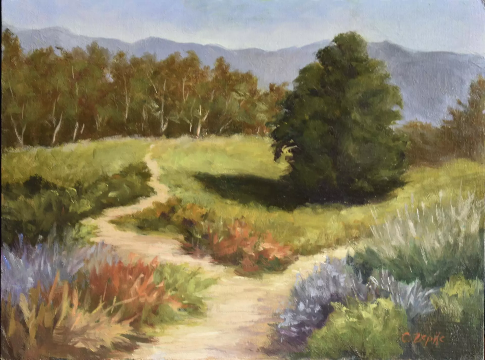 453597-a_path_to_lake_los_carneros