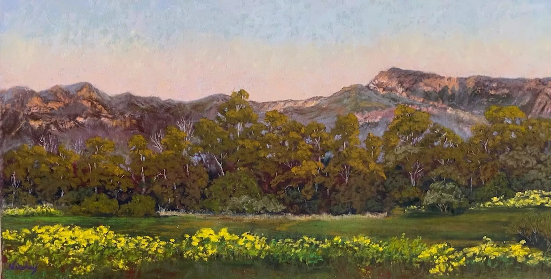 453726-ellwood_preserve_trail___mountain_view__in_spring