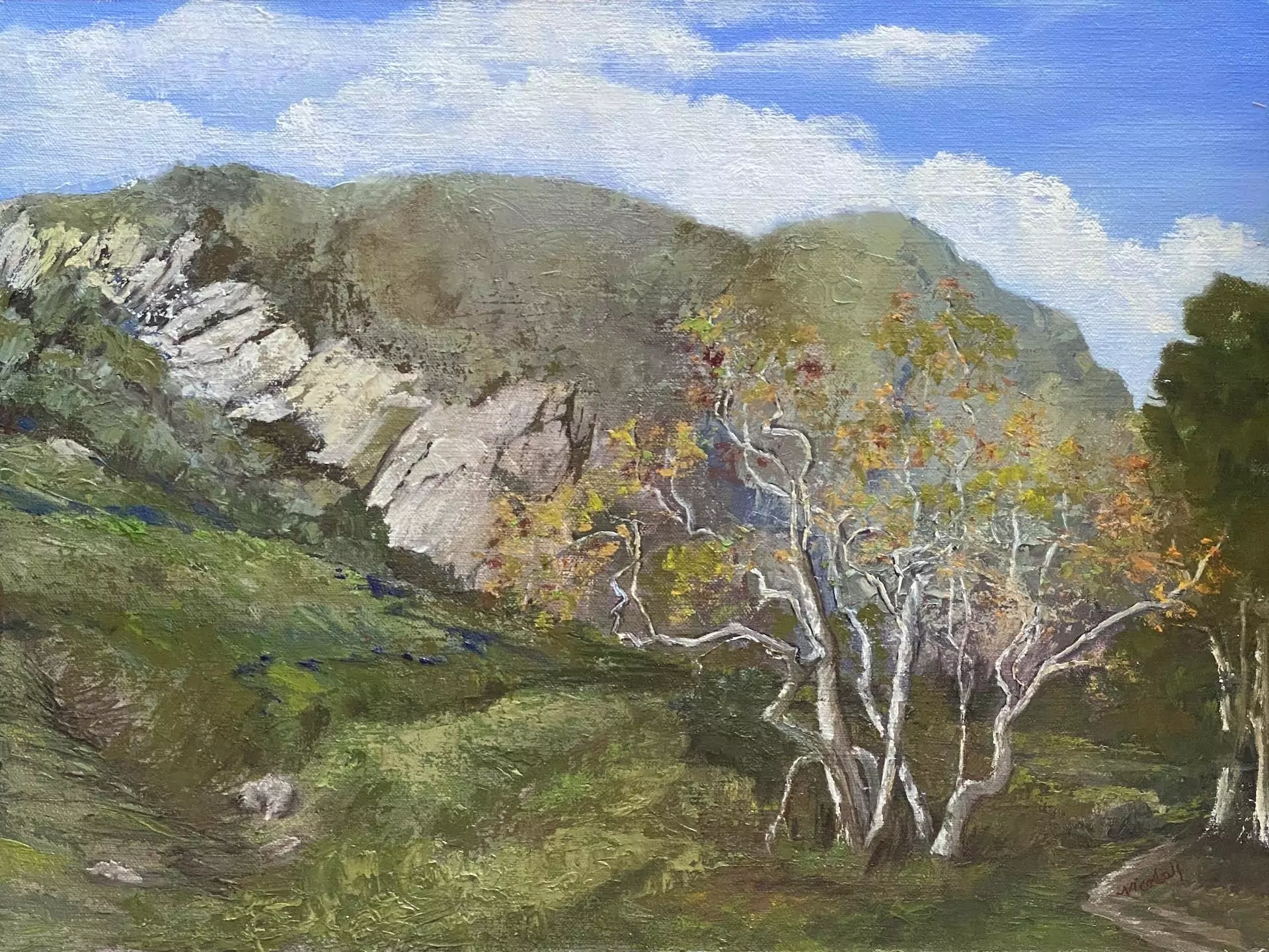 453727-trail_head_at_arroyo_hondo