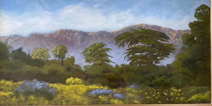 453729-spring_on_the_carpinteria_bluffs_trail