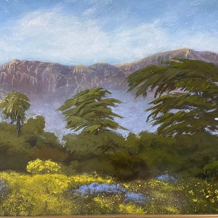 453729-spring_on_the_carpinteria_bluffs_trail