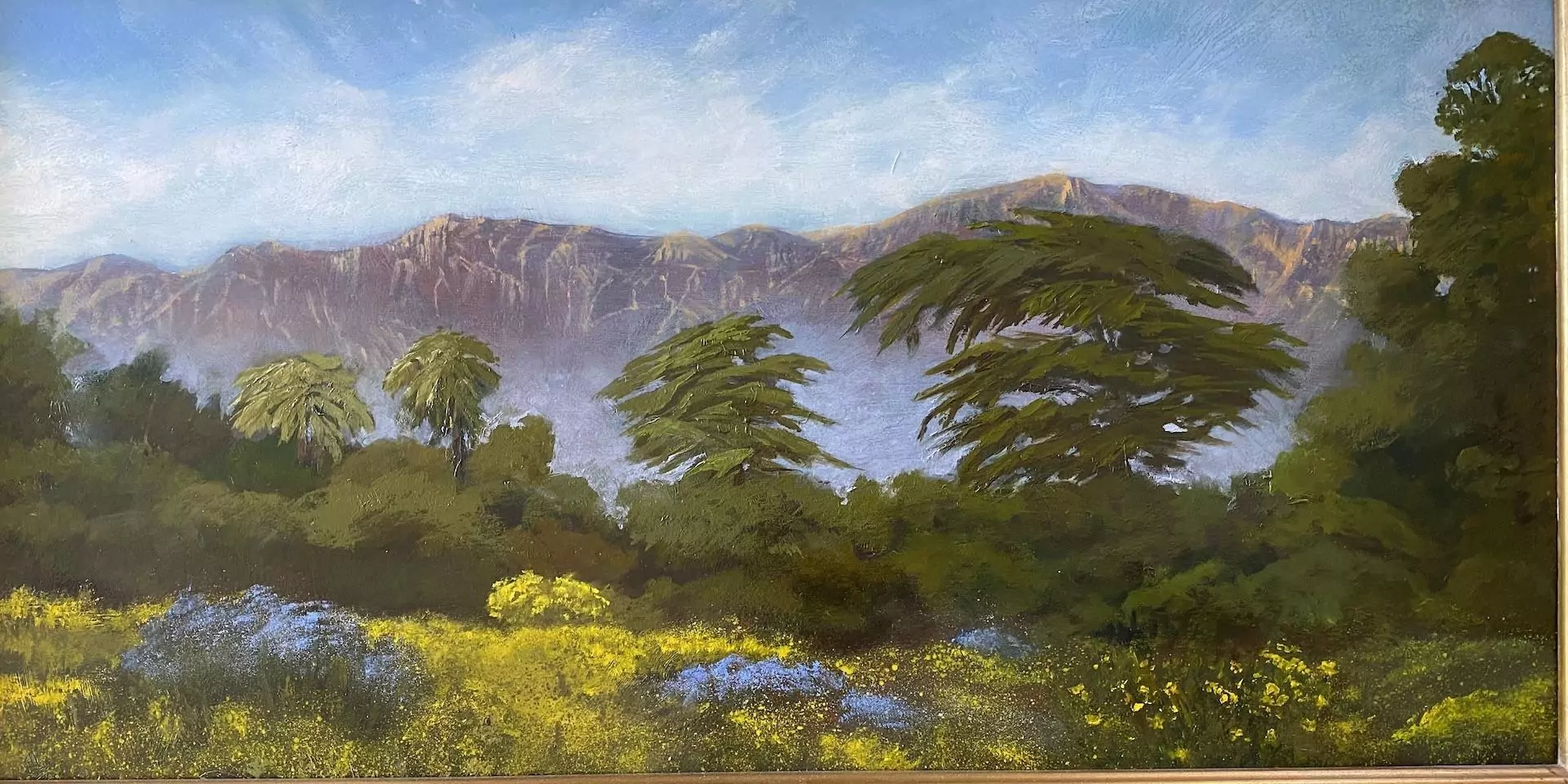 453729-spring_on_the_carpinteria_bluffs_trail