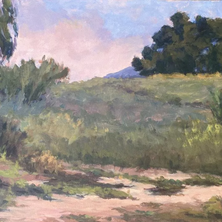 453865-san_marcos_cow_fields