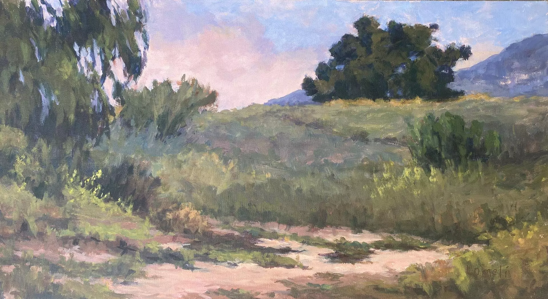 453865-san_marcos_cow_fields