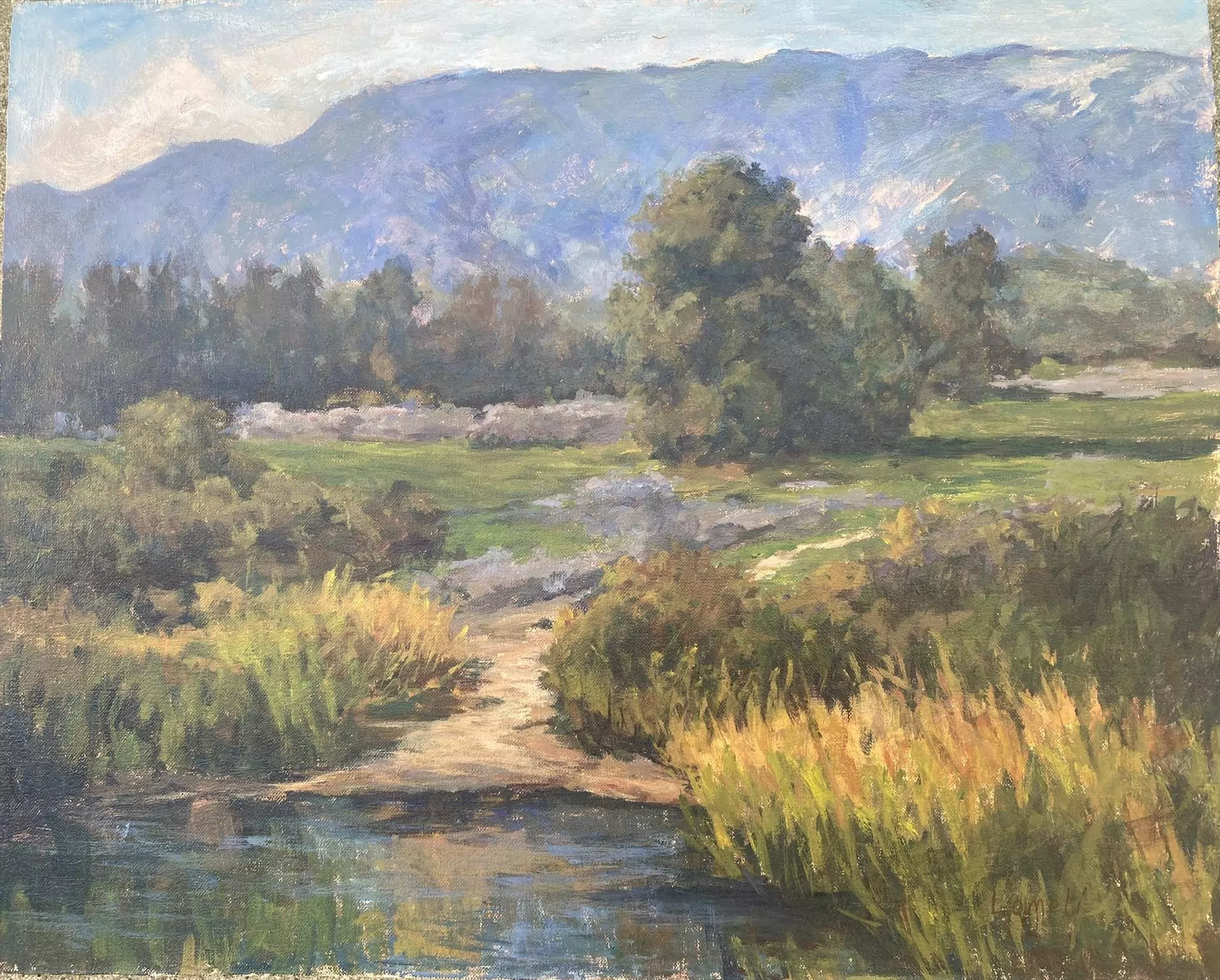 453866-walking_trail