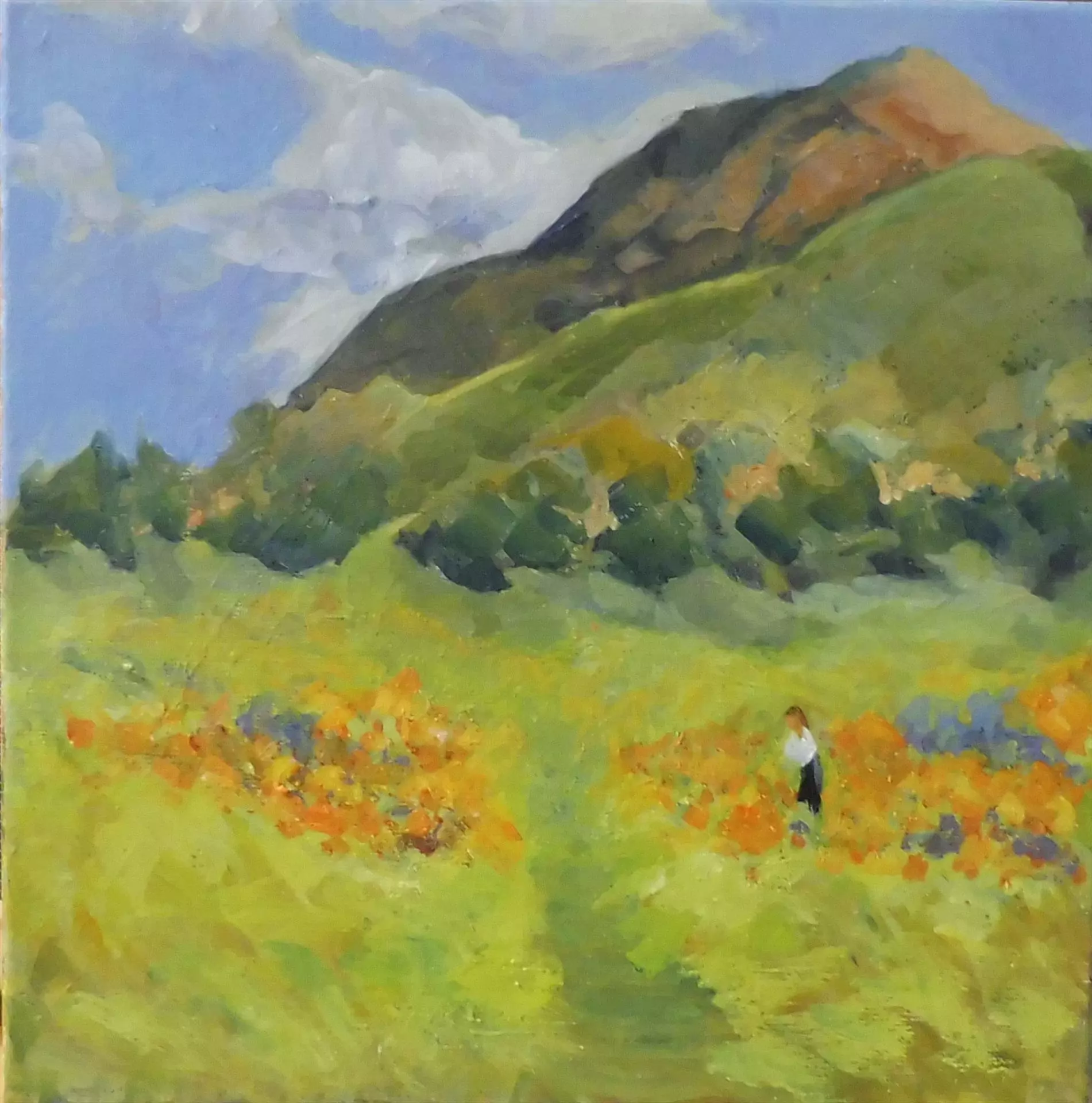 453991-poppy_season_at_the_botanic_garden