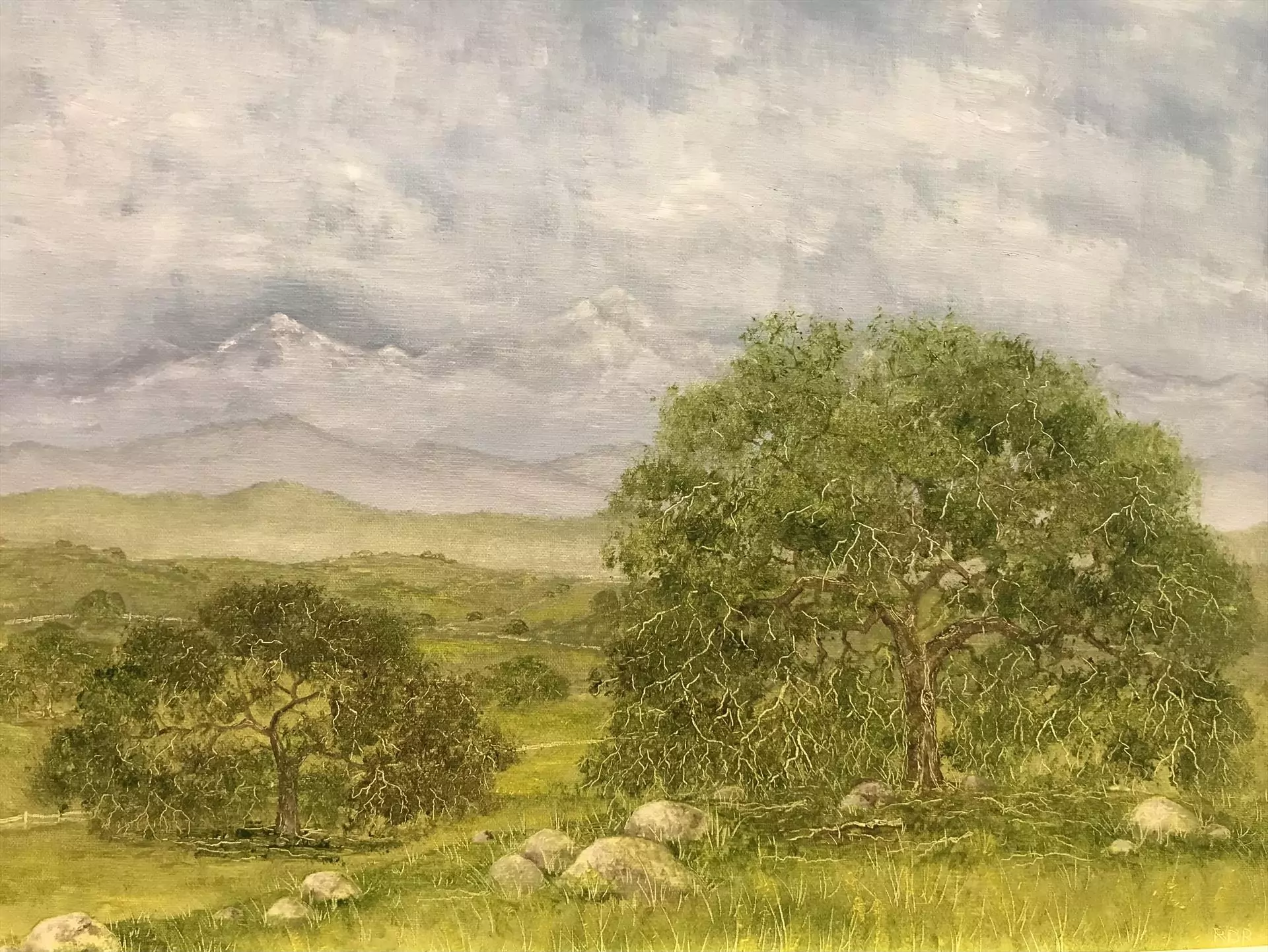 454096-coastal_oaks_2