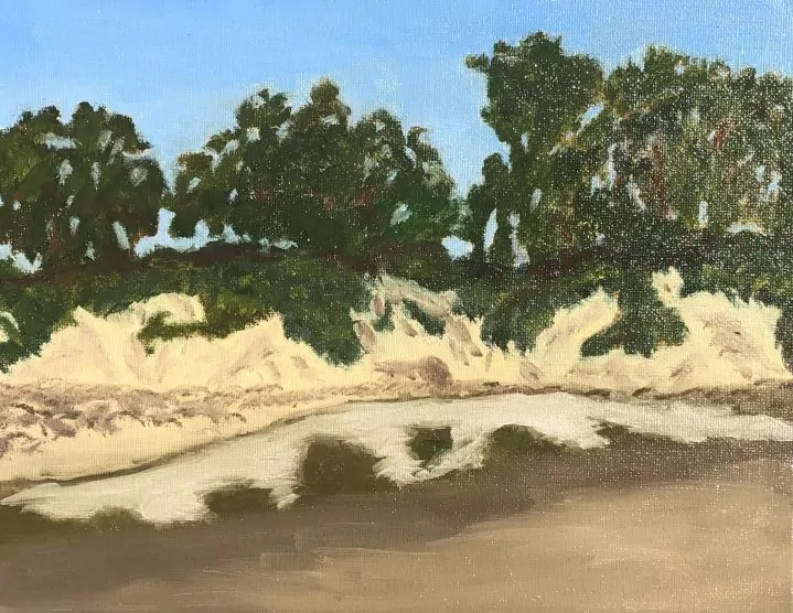 Goleta Slough