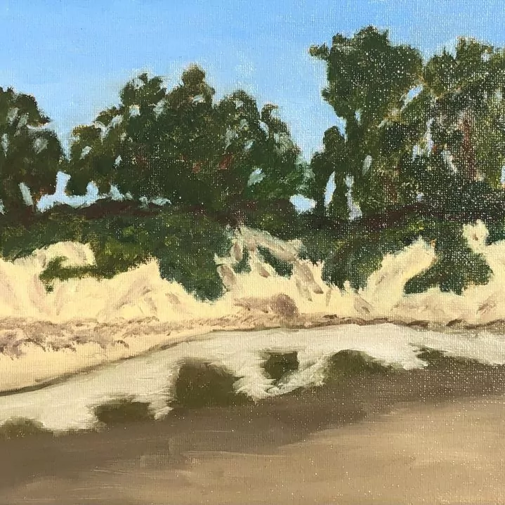 Goleta Slough