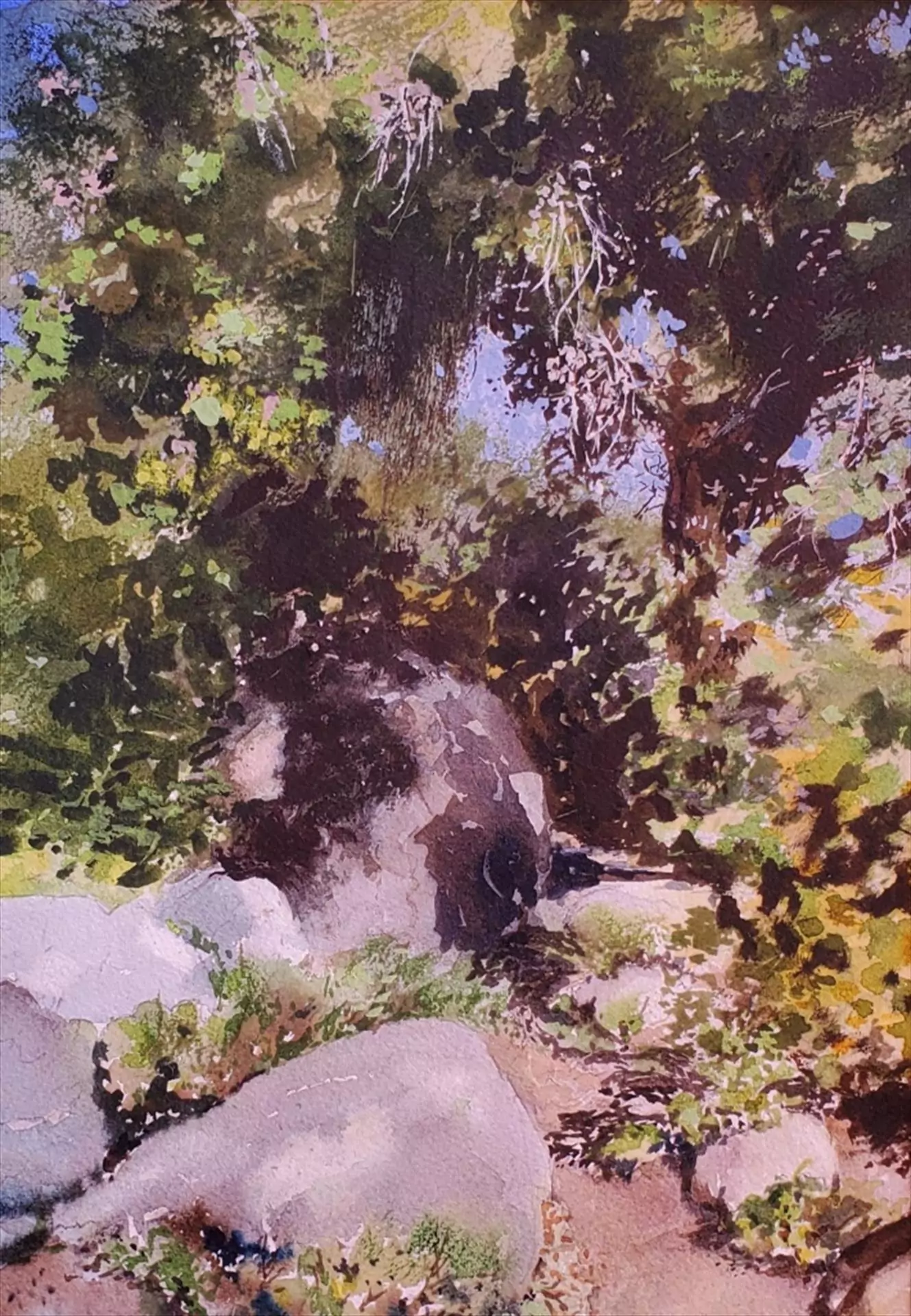 454134-botanic_garden_trail