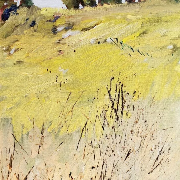 454135-trail_to_carpinteria_bluff