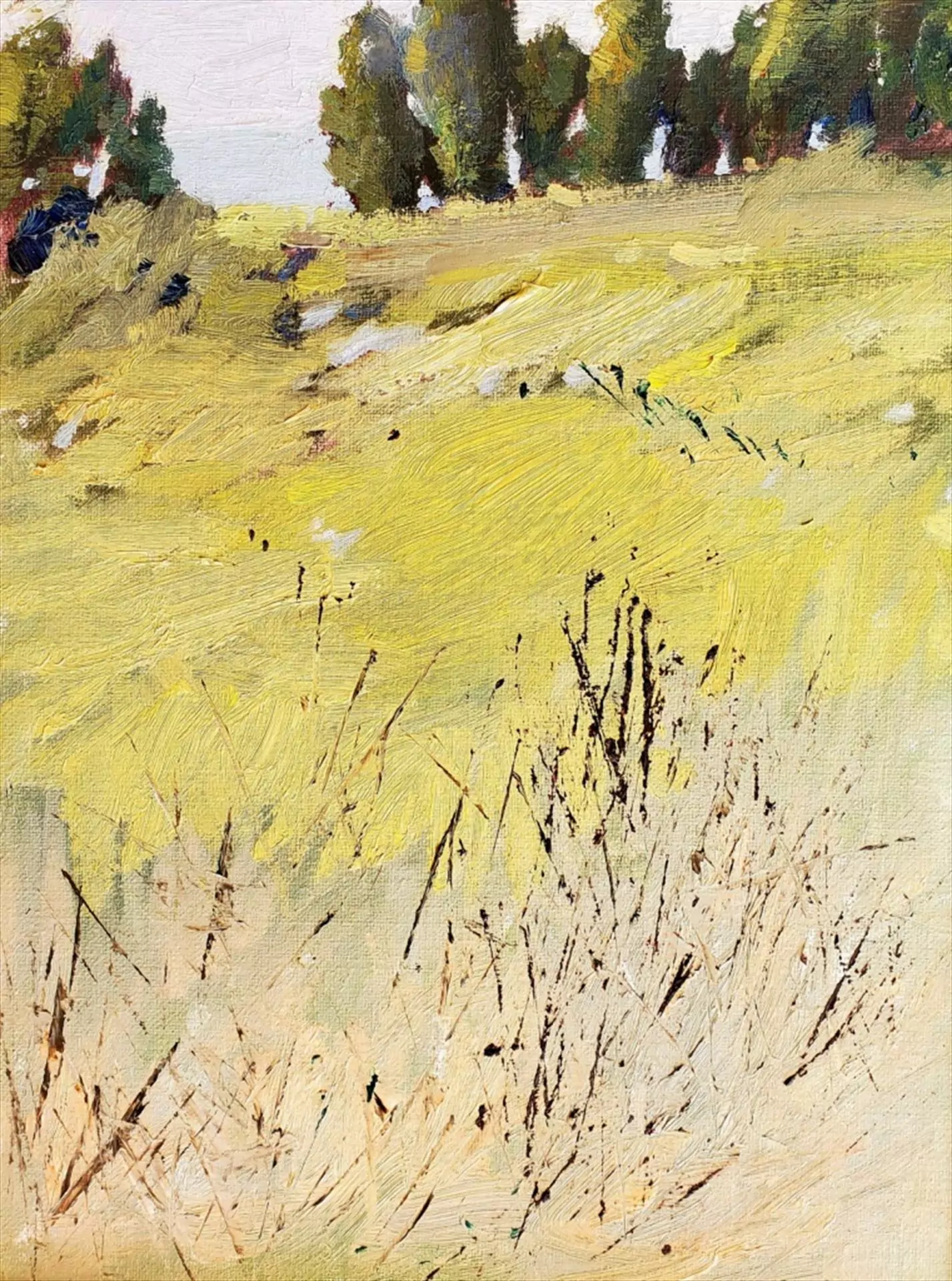 454135-trail_to_carpinteria_bluff