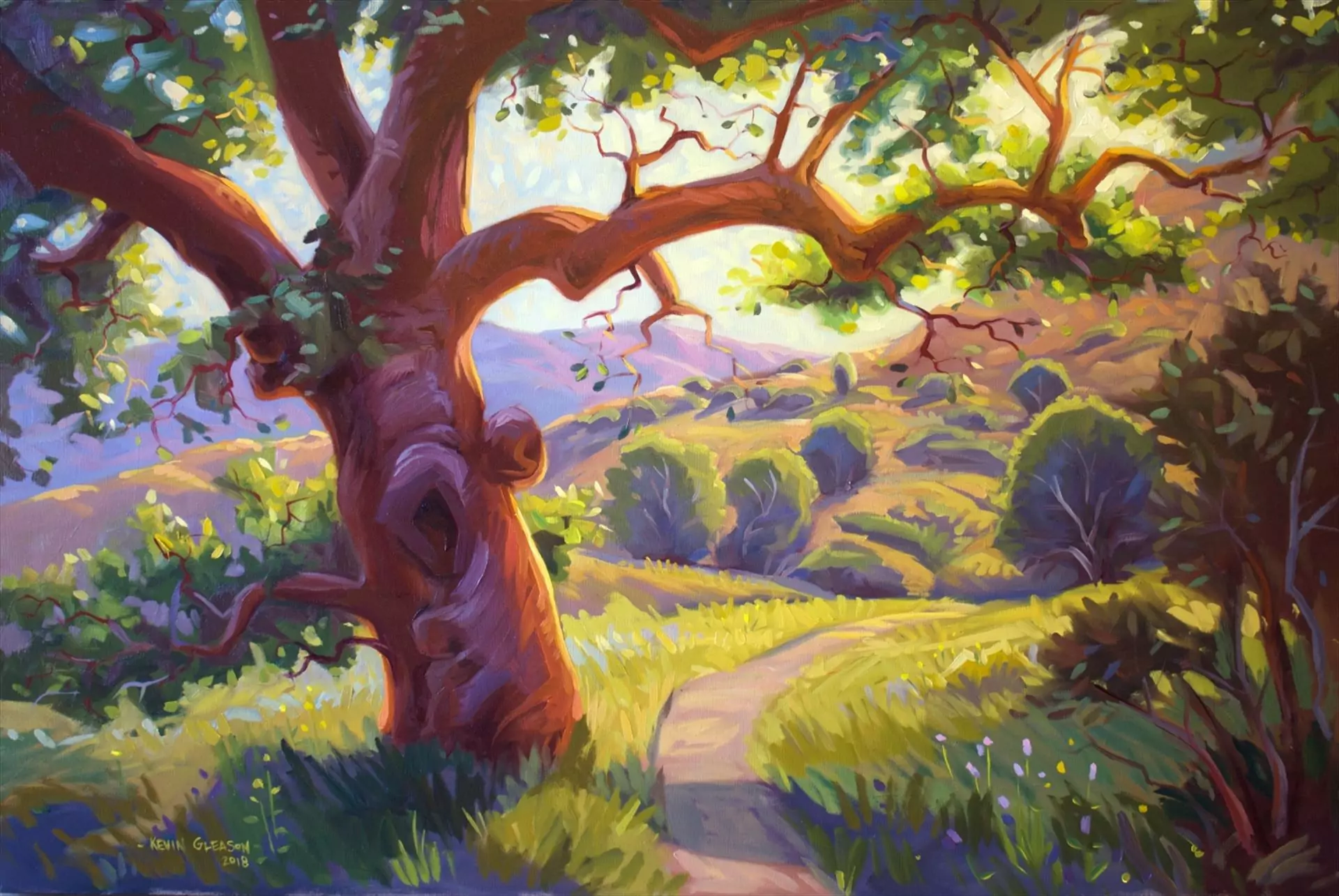 454155-tree_of_light