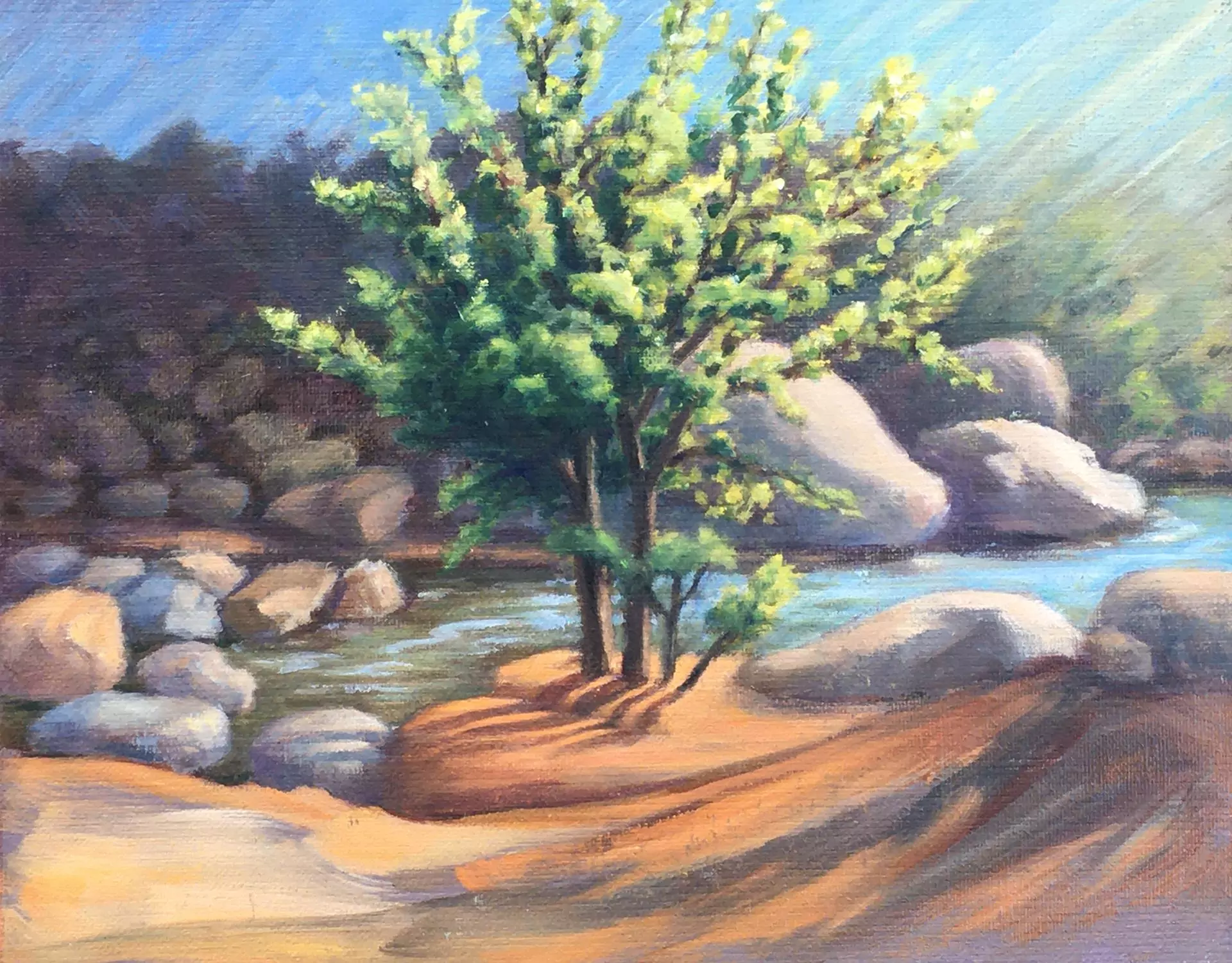 454170-along_mission_creek