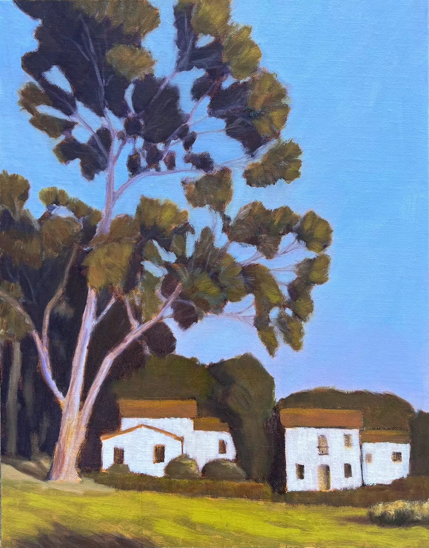 Mission Garden, Santa Barbara