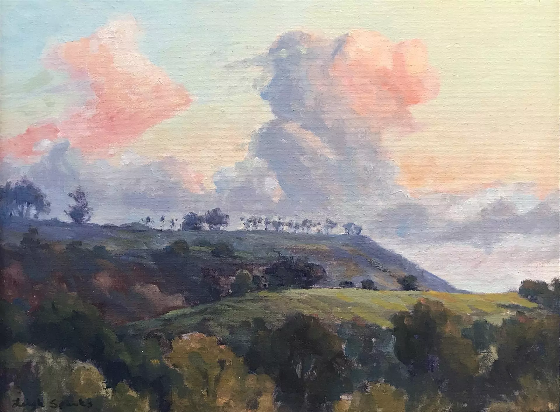 454197-back_of_rincon