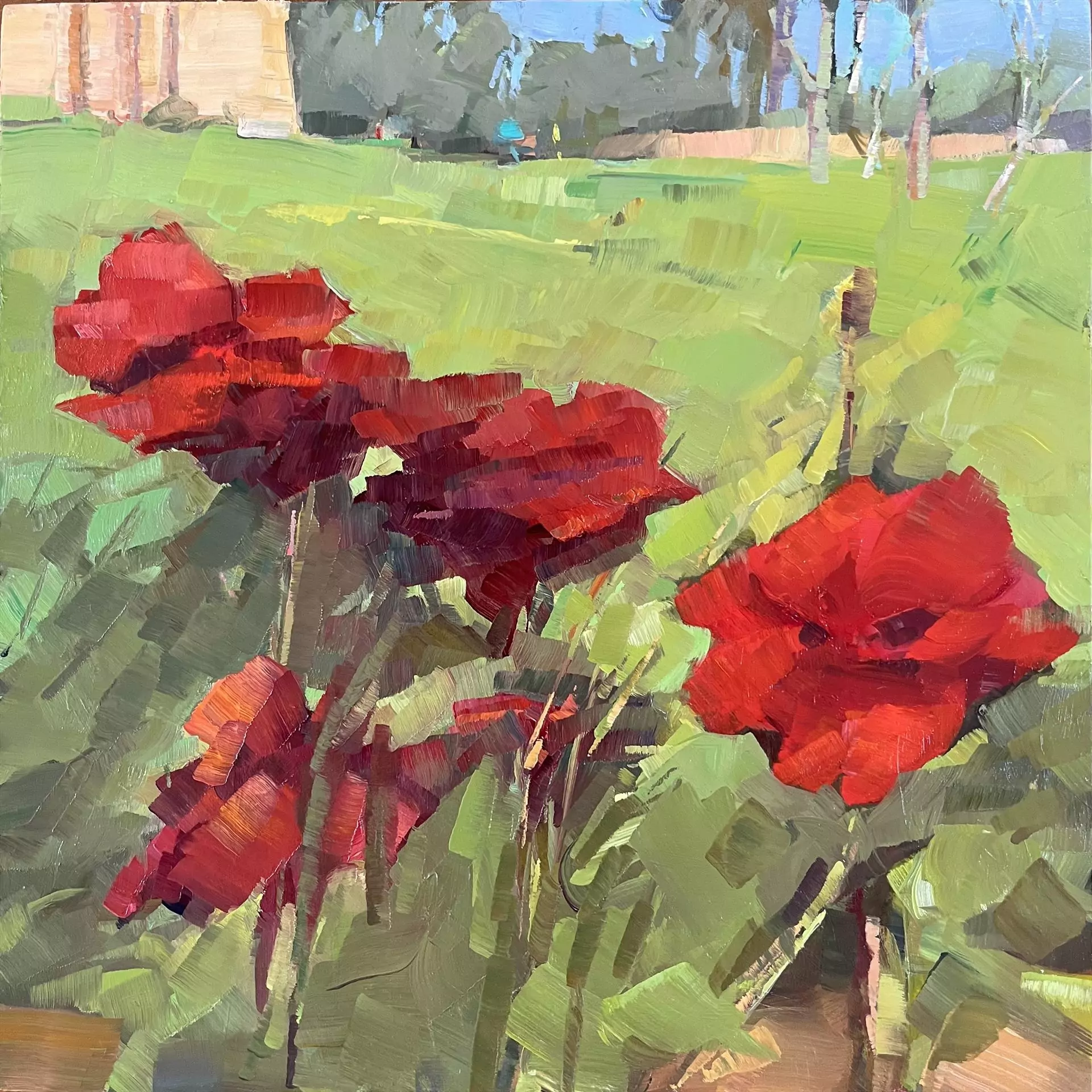 454203-mission_roses