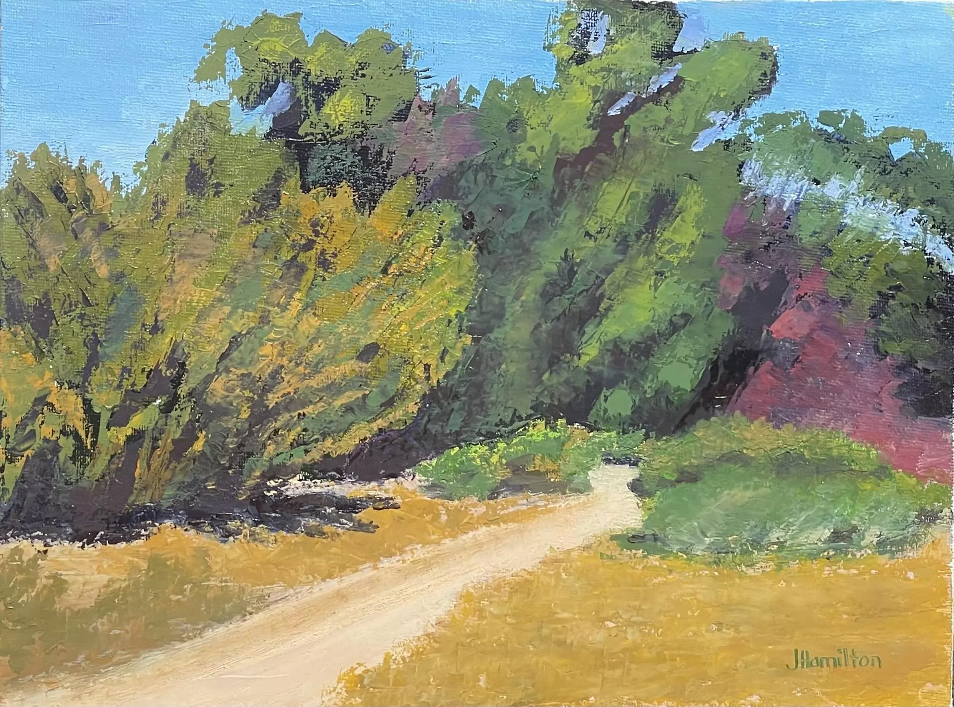 454204-Carpinteria Bluffs