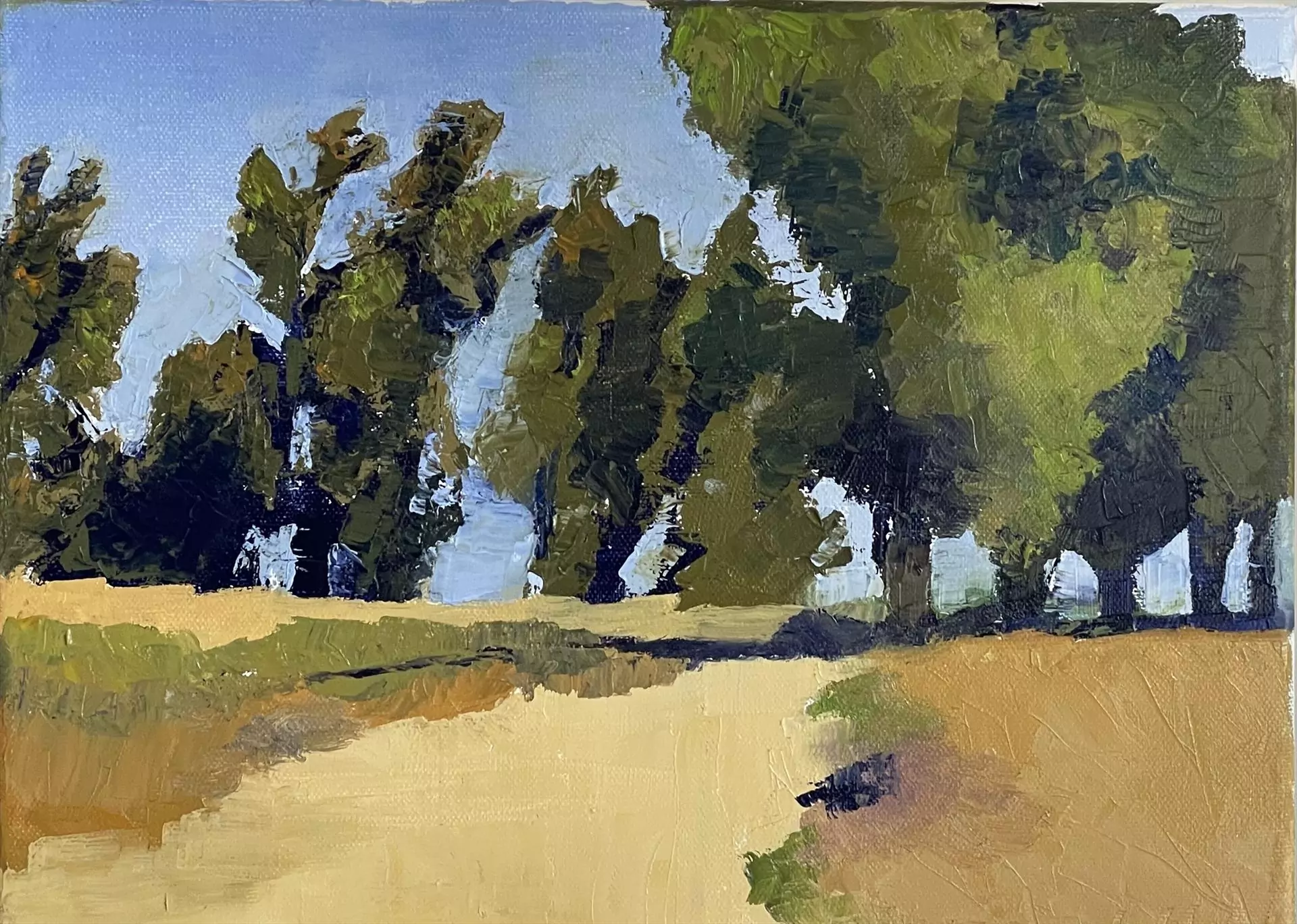 454205-carpinteria_bluffs_trail