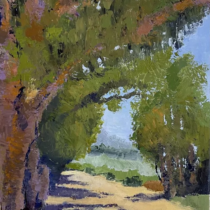 454206-path_at_carpinteria_bluffs