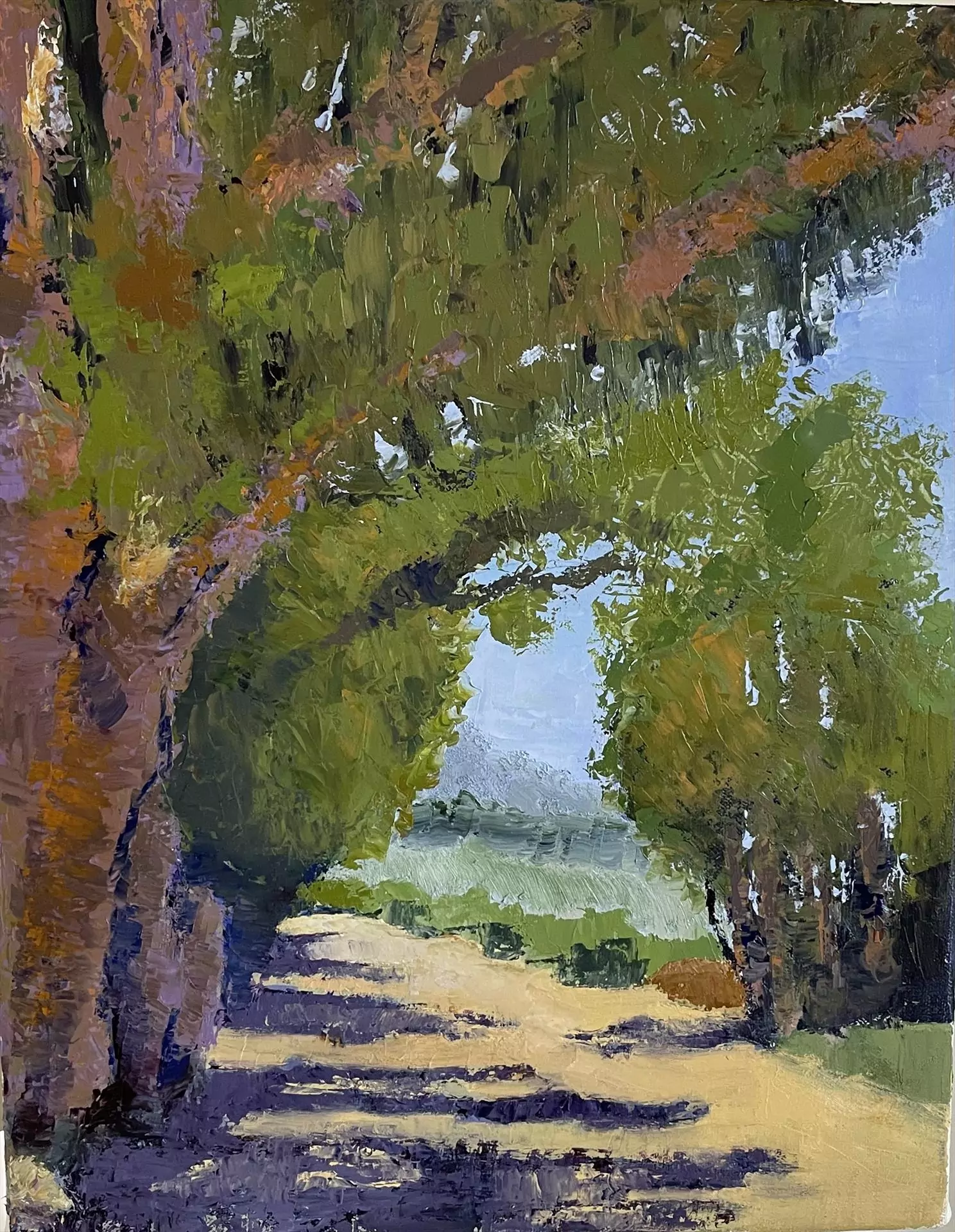 454206-path_at_carpinteria_bluffs