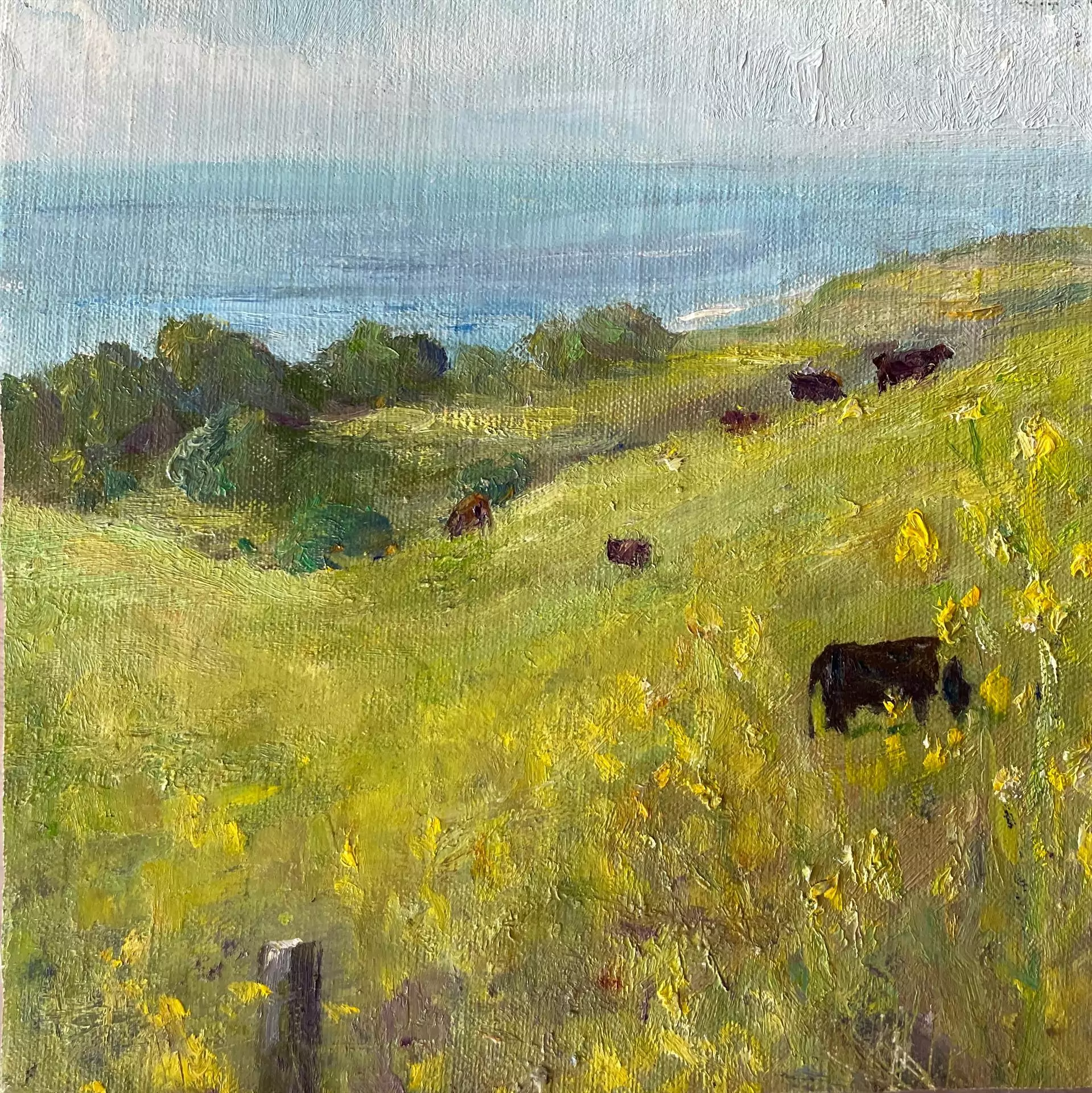 454209-coastal_peace