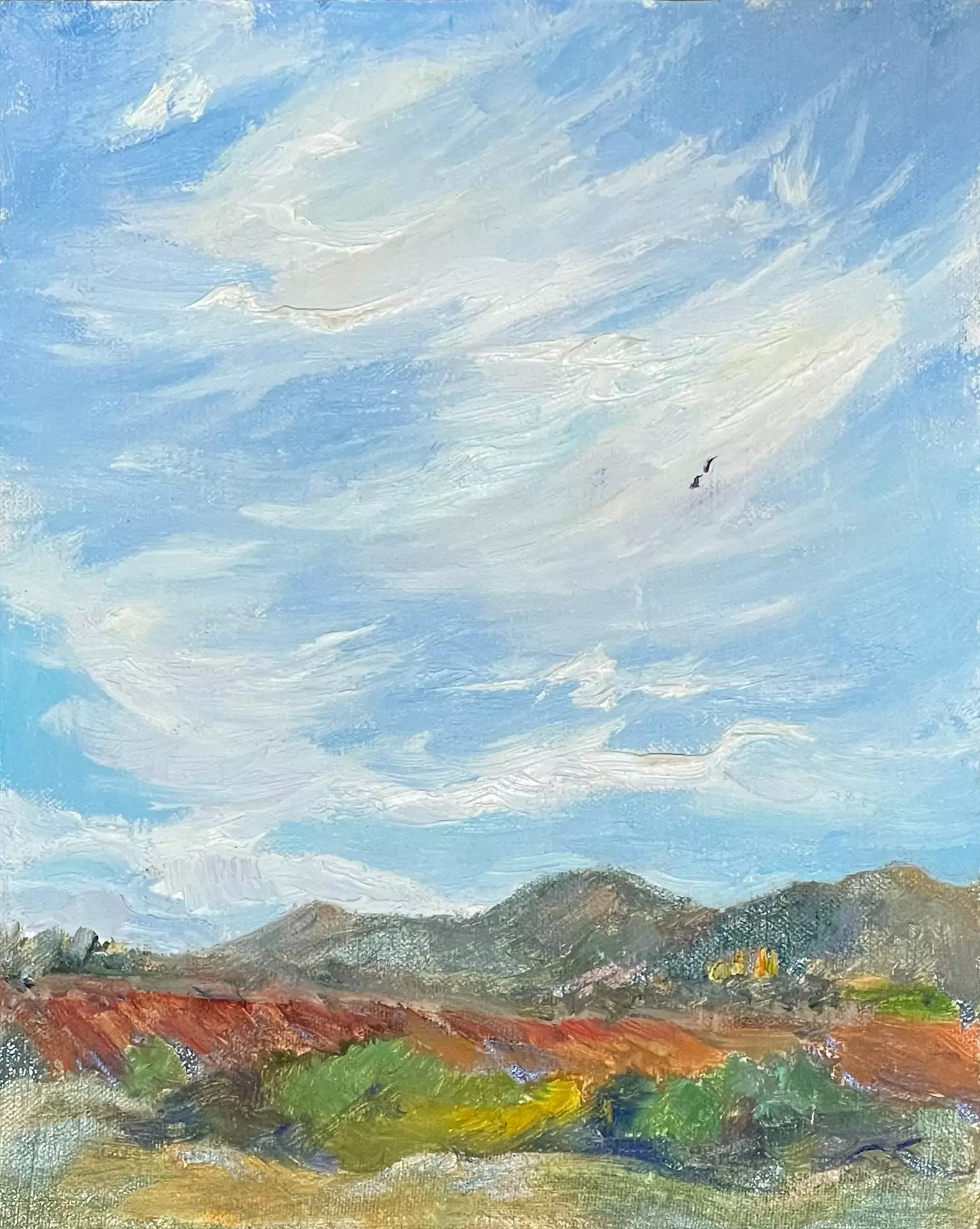 454210-view_from_mission_santa_ines