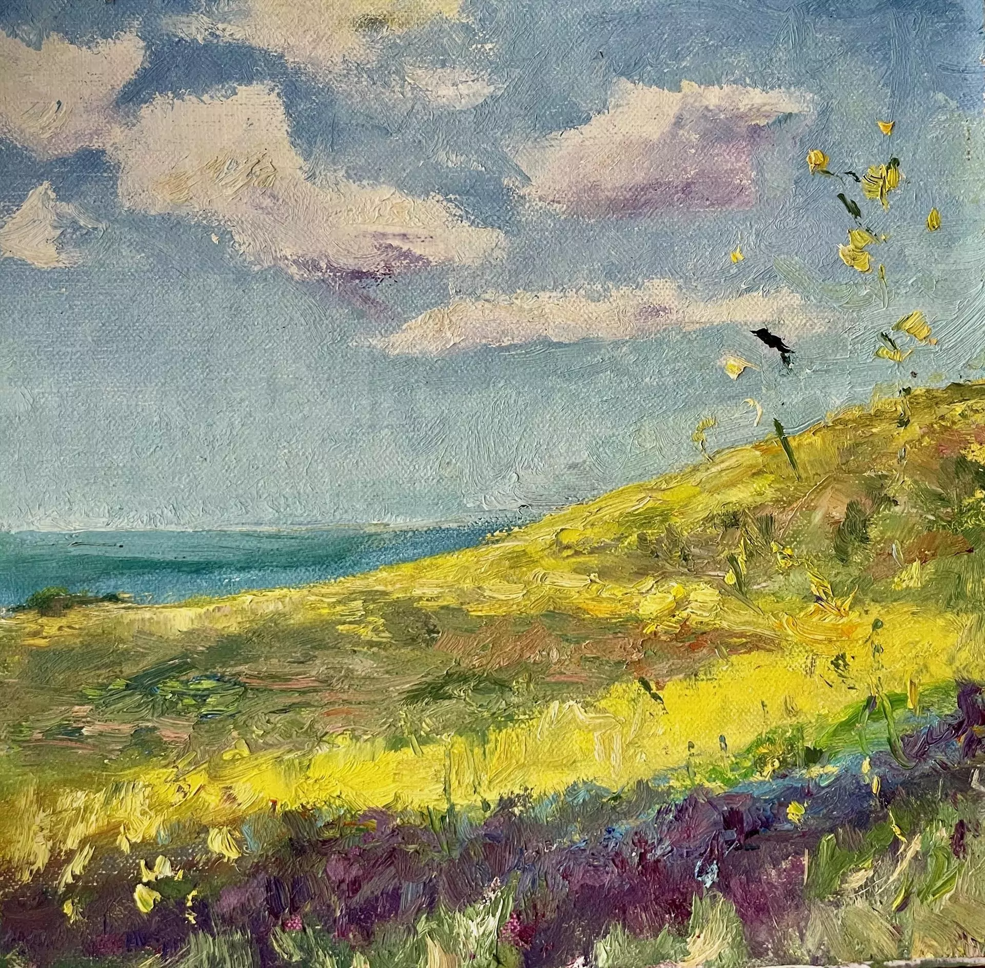 454212-coastal_trail_view