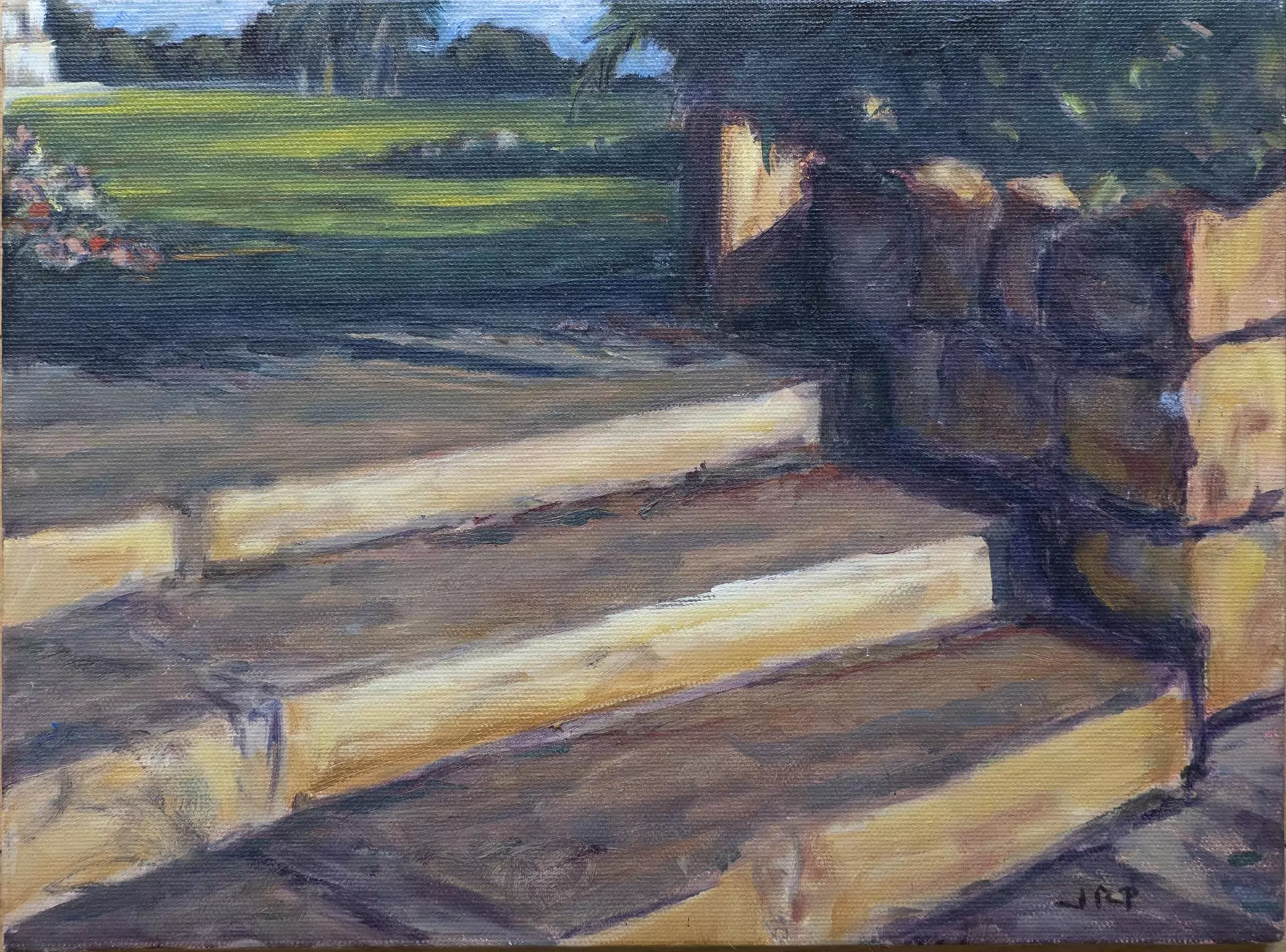 454223-early_morning_mission_rose_garden