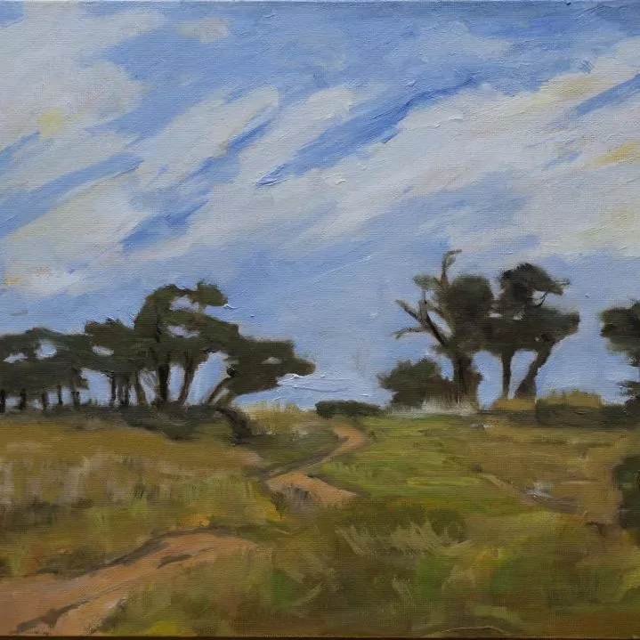 454225-trail_on_ellwood_mesa