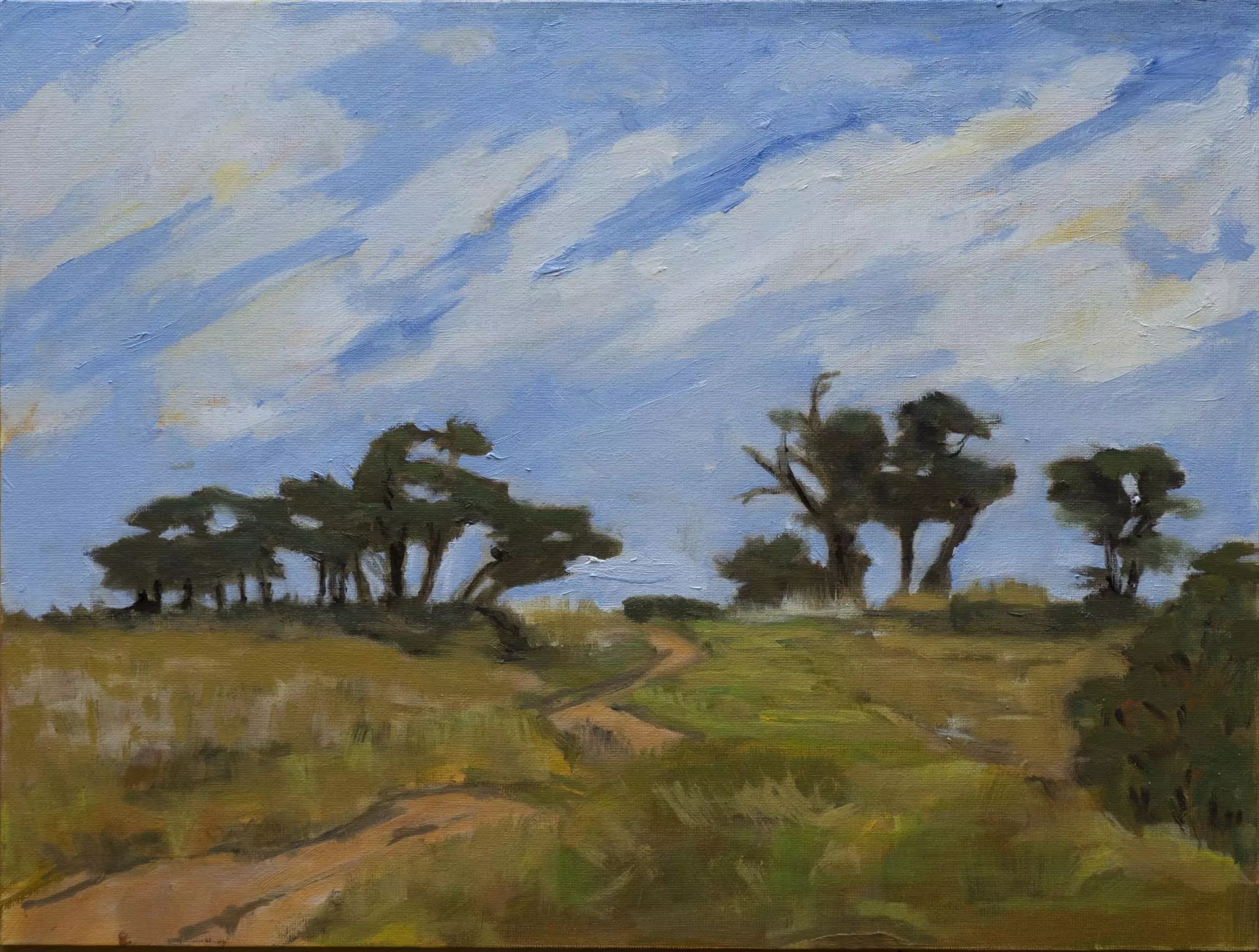 454225-trail_on_ellwood_mesa