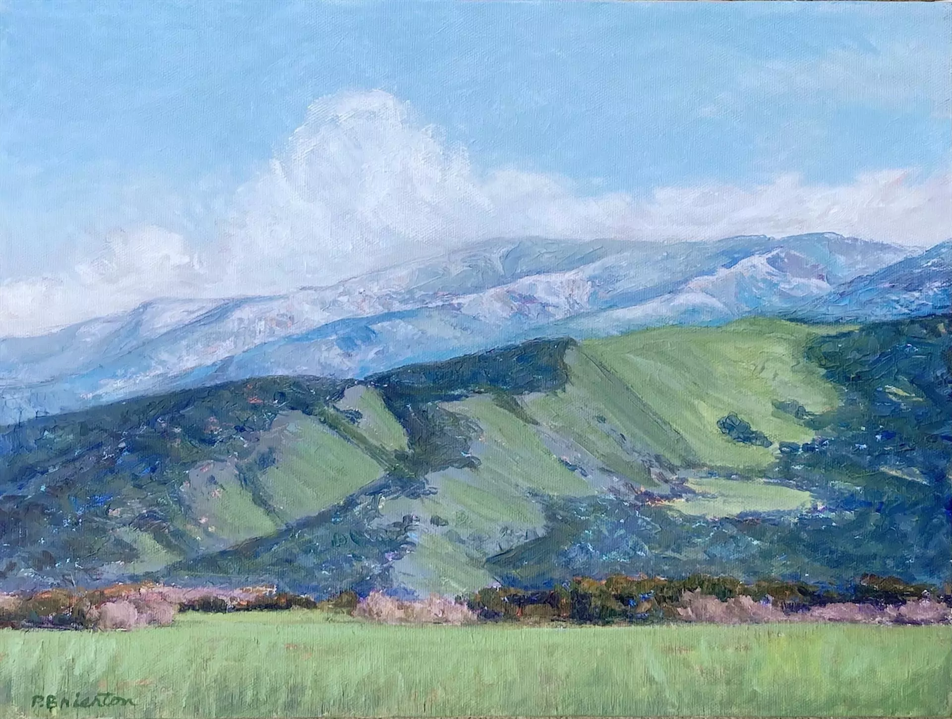 A Dusting of Snow Alamo Pintado SYV