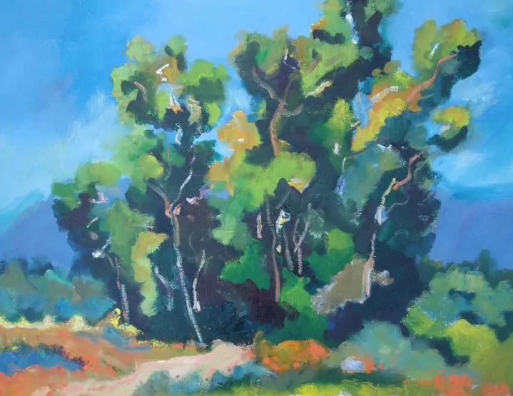 454362-my_trees