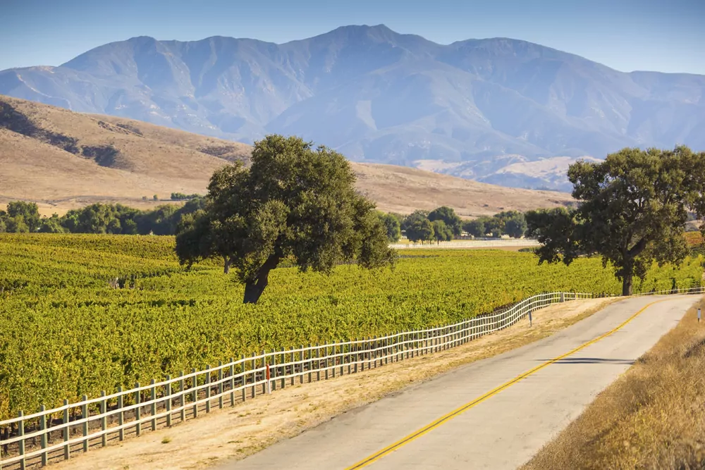 Wine trail