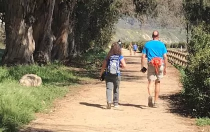 Waking on the Carpinteria Bluffs