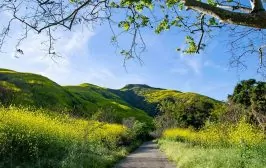 on the california missions trail